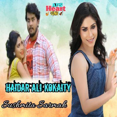 Haidar Ali Kokaity, Listen the song Haidar Ali Kokaity, Play the song Haidar Ali Kokaity, Download the song Haidar Ali Kokaity