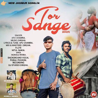 Tor Sange 2024, Listen the song Tor Sange 2024, Play the song Tor Sange 2024, Download the song Tor Sange 2024