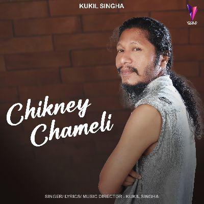 Chikney Chameli, Listen the songs of  Chikney Chameli, Play the songs of Chikney Chameli, Download the songs of Chikney Chameli