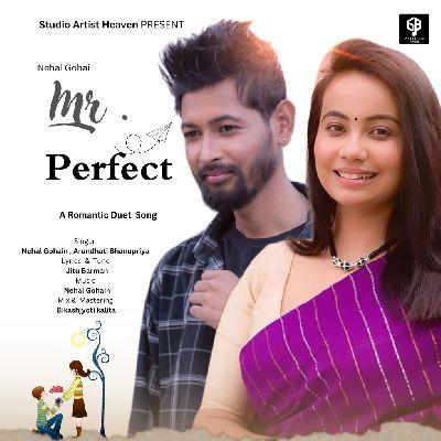 Mr. Perfect, Listen the songs of  Mr. Perfect, Play the songs of Mr. Perfect, Download the songs of Mr. Perfect