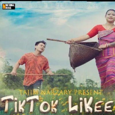 TikTok Likee, Listen the song TikTok Likee, Play the song TikTok Likee, Download the song TikTok Likee