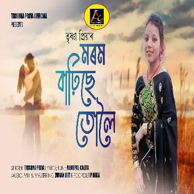 Morom Barhise Tuloi, Listen the songs of  Morom Barhise Tuloi, Play the songs of Morom Barhise Tuloi, Download the songs of Morom Barhise Tuloi