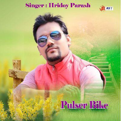 Pulser Bike, Listen the song Pulser Bike, Play the song Pulser Bike, Download the song Pulser Bike