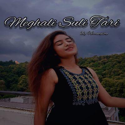 Meghali Suli Tari, Listen the song Meghali Suli Tari, Play the song Meghali Suli Tari, Download the song Meghali Suli Tari