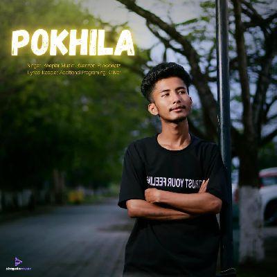 Pokhila, Listen the song Pokhila, Play the song Pokhila, Download the song Pokhila