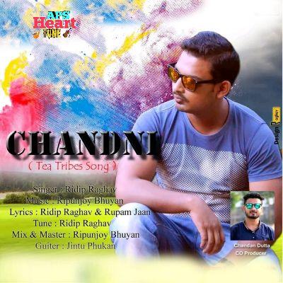 Chandni, Listen the song Chandni, Play the song Chandni, Download the song Chandni