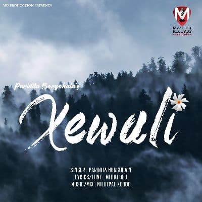 Xewali, Listen the song Xewali, Play the song Xewali, Download the song Xewali