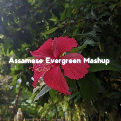 Assamese Evergreen (Mashup), Listen the songs of  Assamese Evergreen (Mashup), Play the songs of Assamese Evergreen (Mashup), Download the songs of Assamese Evergreen (Mashup)