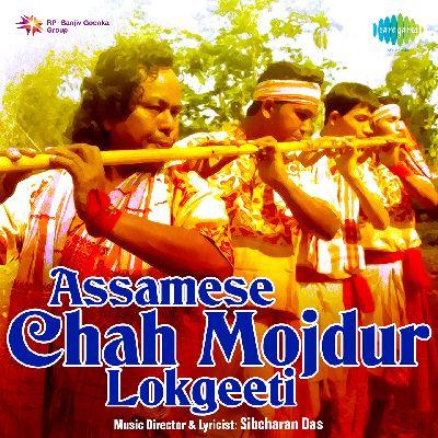 Meghnather Soktishale, Listen the songs of  Meghnather Soktishale, Play the songs of Meghnather Soktishale, Download the songs of Meghnather Soktishale