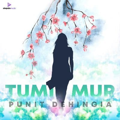 Tumi Mur, Listen the song Tumi Mur, Play the song Tumi Mur, Download the song Tumi Mur