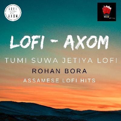 Tumi Suwa Jetiya Lofi (Remix), Listen the song Tumi Suwa Jetiya Lofi (Remix), Play the song Tumi Suwa Jetiya Lofi (Remix), Download the song Tumi Suwa Jetiya Lofi (Remix)