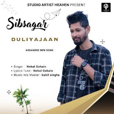 Sibsagar Duliyajaan, Listen the song Sibsagar Duliyajaan, Play the song Sibsagar Duliyajaan, Download the song Sibsagar Duliyajaan