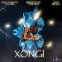 Xongi