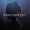 Bidaai (good bye)