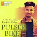 Pulser Bike