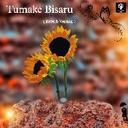 Tumake Bisaru Moi ( Reverb)