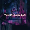 Tumi Prohelika Lofi