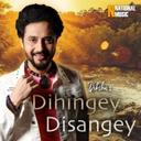 Dihingey Disangey