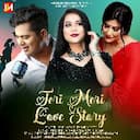 Teri Meri Love Story