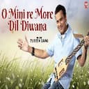 O Mini Re More Dil Diwana