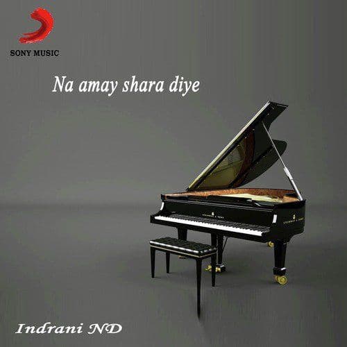 Na Amar Shara Diye, Listen the songs of  Na Amar Shara Diye, Play the songs of Na Amar Shara Diye, Download the songs of Na Amar Shara Diye