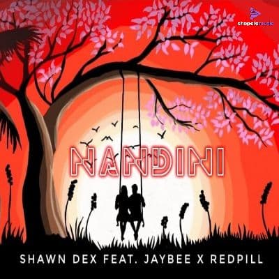 Nandini, Listen the songs of  Nandini, Play the songs of Nandini, Download the songs of Nandini
