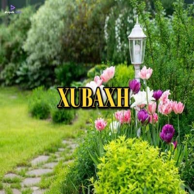 Xubaxh, Listen the song Xubaxh, Play the song Xubaxh, Download the song Xubaxh
